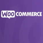21 Best WooCommerce Plugins for Your Online Store