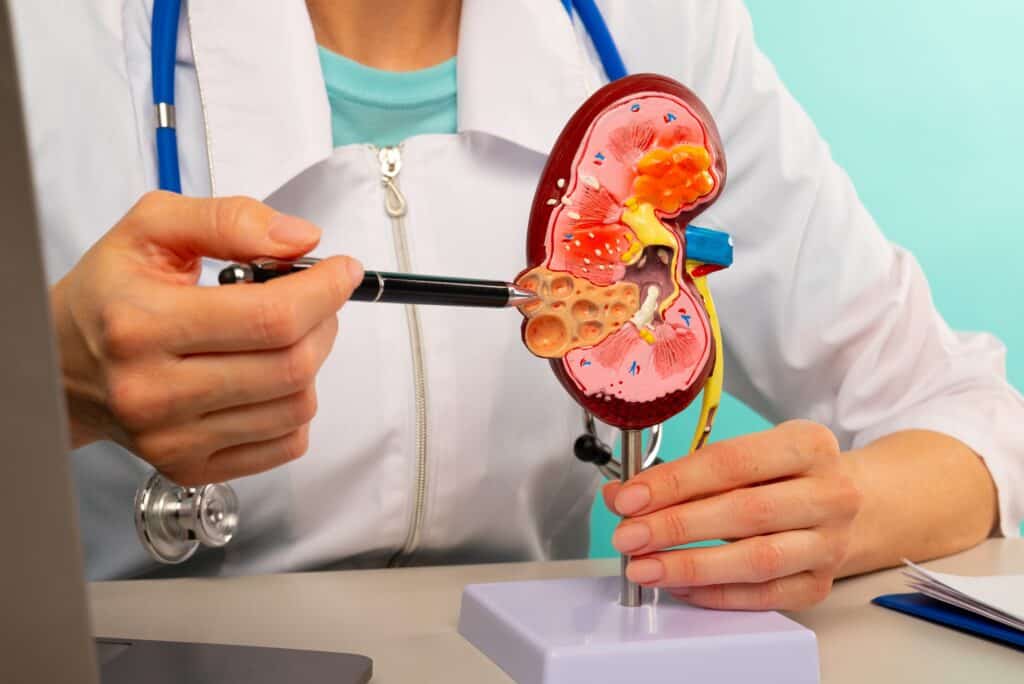 6 Habits to Get Rid of to Love Your Kidneys! You'll Notice the Change in No Time